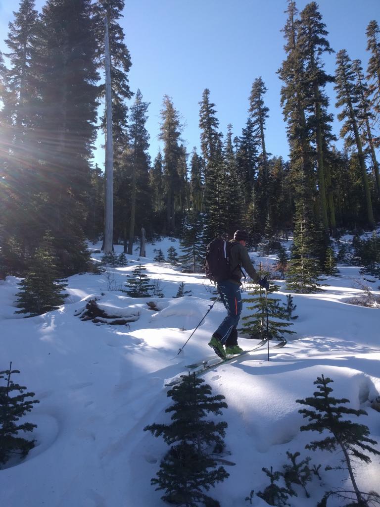  Snow coverage at 7200 ft. 