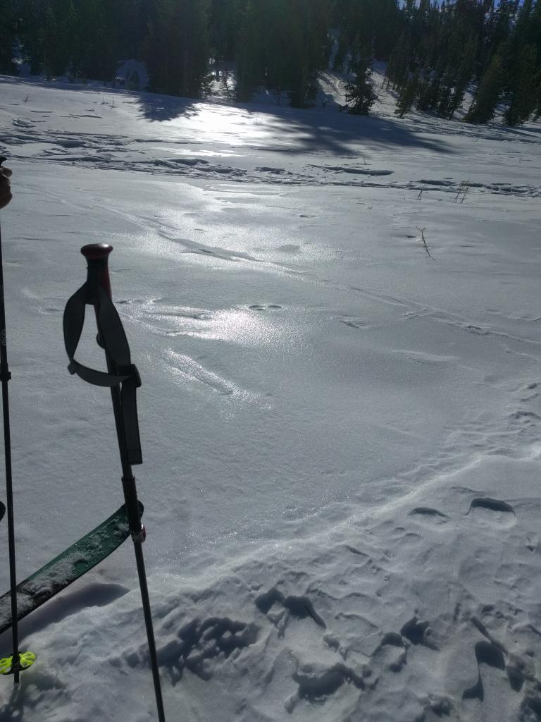  Exposed firm <a href="/avalanche-terms/rain-crust" title="A clear layer of ice formed when rain falls on the snow surface then freezes." class="lexicon-term">rain crust</a> on an open slope. 