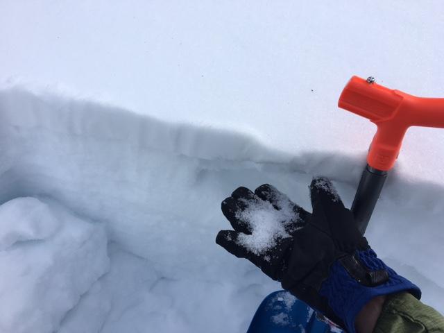  3-4&#039;&#039; of recent storm snow on top of old near surface <a href="/avalanche-terms/faceted-snow" title="Angular snow with poor bonding created from large temperature gradients within the snowpack." class="lexicon-term">facets</a> with a deteriorating <a href="/avalanche-terms/rain-crust" title="A clear layer of ice formed when rain falls on the snow surface then freezes." class="lexicon-term">rain crust</a> below. 