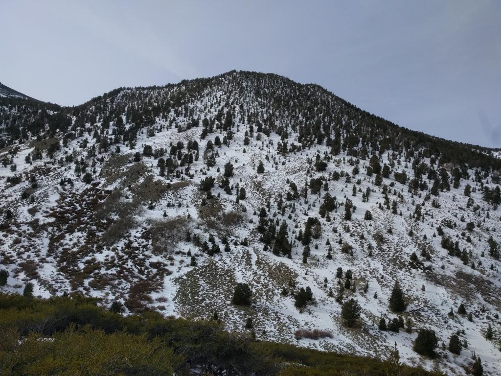  Coverage on E <a href="/avalanche-terms/aspect" title="The compass direction a slope faces (i.e. North, South, East, or West.)" class="lexicon-term">aspects</a> between 8600 and 9600 ft. 