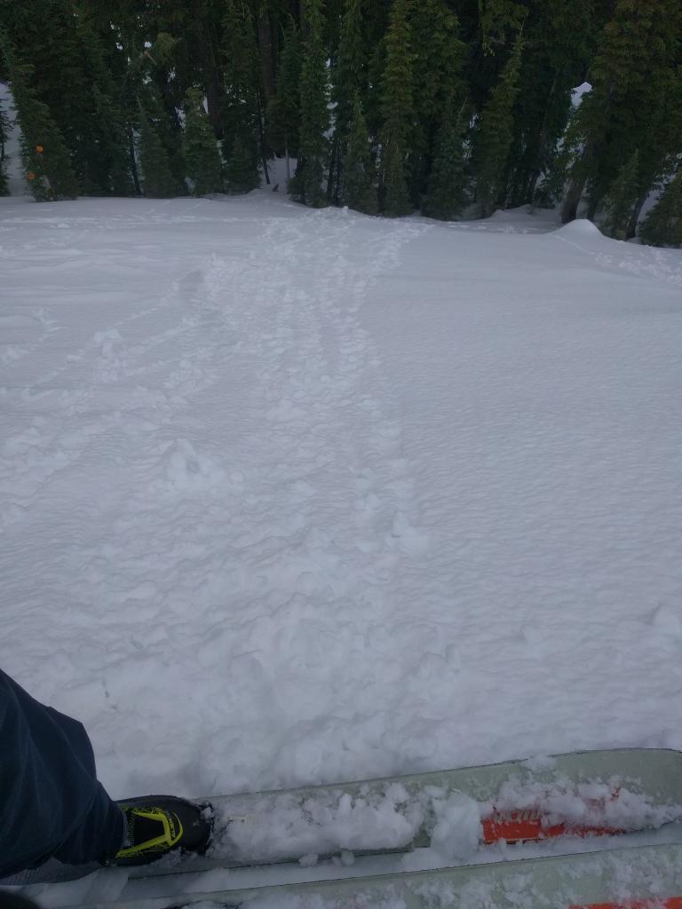  Small loose wet roller balls on a N facing slope at 8000 ft. 