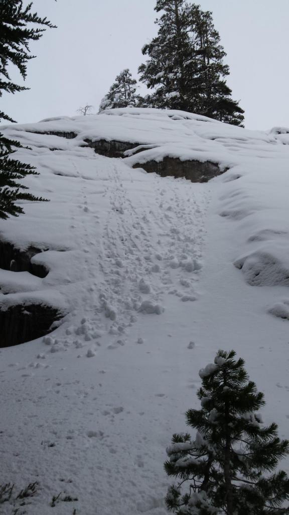  Rollerballs on steep slopes with exposed rocks. 