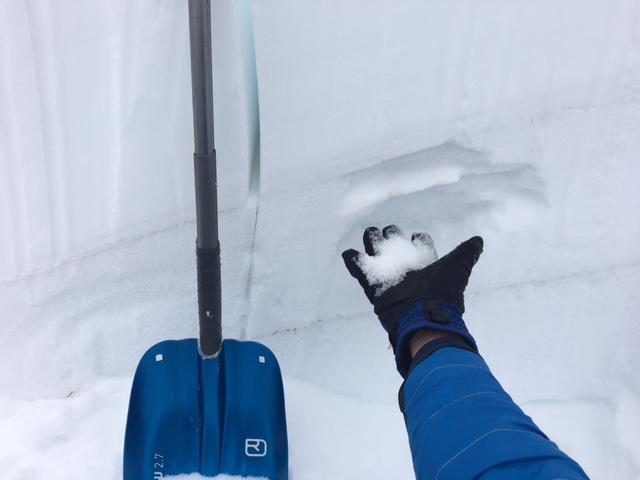  <a href="/avalanche-terms/faceted-snow" title="Angular snow with poor bonding created from large temperature gradients within the snowpack." class="lexicon-term">Facets</a> at 9400&#039; were dry to moist. 