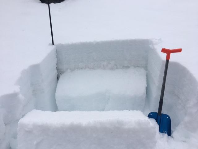  ECTP-13 on buried <a href="/avalanche-terms/faceted-snow" title="Angular snow with poor bonding created from large temperature gradients within the snowpack." class="lexicon-term">facet</a> <a href="/avalanche-terms/snow-layer" title="A snowpack stratum differentiated from others by weather, metamorphism, or other processes." class="lexicon-term">layer</a> below 14&#039;&#039; <a href="/avalanche-terms/slab" title="A relatively cohesive snowpack layer." class="lexicon-term">slab</a>.  N <a href="/avalanche-terms/aspect" title="The compass direction a slope faces (i.e. North, South, East, or West.)" class="lexicon-term">aspect</a>, 8400&#039;. 