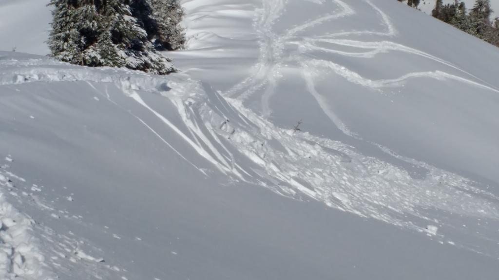  Intentionally cracked <a href="/avalanche-terms/wind-slab" title="A cohesive layer of snow formed when wind deposits snow onto leeward terrain. Wind slabs are often smooth and rounded and sometimes sound hollow." class="lexicon-term">wind slab</a> along summit ridge near noted lat/long. 