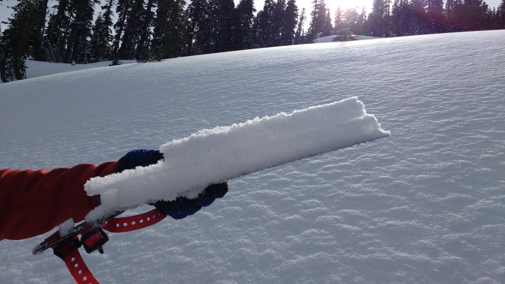  Visible horizontal line mid sample is the buried <a href="/avalanche-terms/surface-hoar" title="Featherly crystals that form on the snow surface during clear and calm conditions - essentially frozen dew. Forms a persistent weak layer once buried." class="lexicon-term">surface hoar</a> <a href="/avalanche-terms/snow-layer" title="A snowpack stratum differentiated from others by weather, metamorphism, or other processes." class="lexicon-term">layer</a> at <a href="/avalanche-terms/snowpit" title="A pit dug vertically into the snowpack where snow layering is observed and stability tests may be performed. Also called a snow profile." class="lexicon-term">snowpit</a> location. 