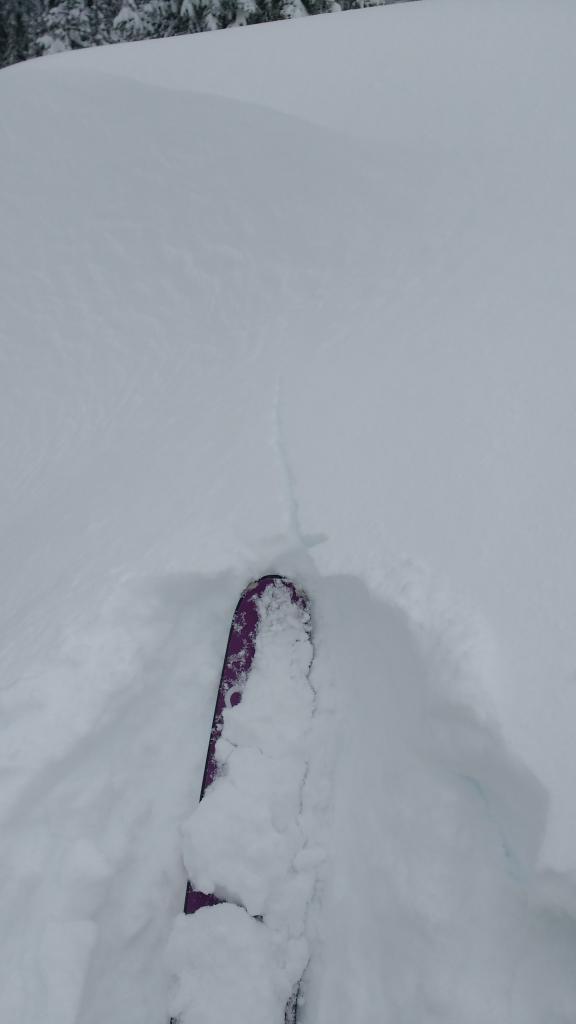  Maximum extent of cracking seen in near or above treeline <a href="/avalanche-terms/wind-slab" title="A cohesive layer of snow formed when wind deposits snow onto leeward terrain. Wind slabs are often smooth and rounded and sometimes sound hollow." class="lexicon-term">wind slab</a> features. 