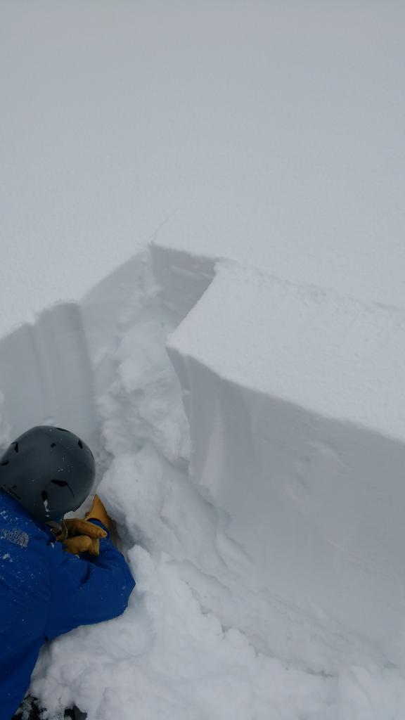  <a href="/avalanche-terms/snowpit" title="A pit dug vertically into the snowpack where snow layering is observed and stability tests may be performed. Also called a snow profile." class="lexicon-term">Pit</a> dug at top of below treeline <a href="/avalanche-terms/avalanche-path" title="A terrain feature where an avalanche occurs. Composed of a Starting Zone, Track, and Runout Zone." class="lexicon-term">avalanche path</a> producing all ECTN results. 