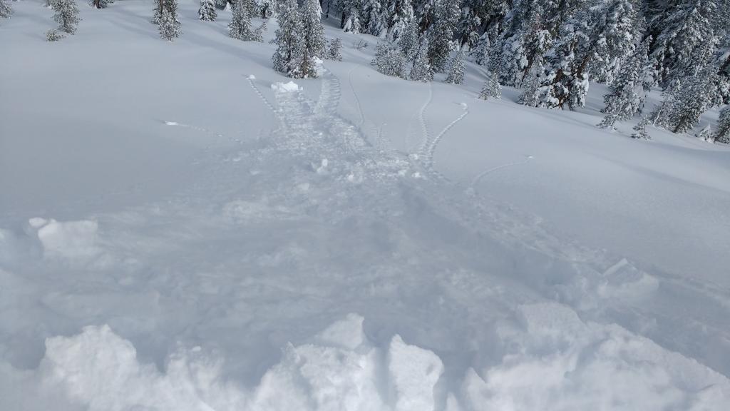  Intentionally <a href="/avalanche-terms/collapse" title="When the fracture of a lower snow layer causes an upper layer to fall. Also called a whumpf, this is an obvious sign of instability." class="lexicon-term">collapsing</a> <a href="/avalanche-terms/cornice" title="A mass of snow deposited by the wind, often overhanging, and usually near a sharp terrain break such as a ridge. Cornices can break off unexpectedly and should be approached with caution." class="lexicon-term">cornice</a> pieces onto <a href="/avalanche-terms/wind-loading" title="The added weight of wind drifted snow." class="lexicon-term">wind loaded</a> slopes near the summit of Andesite Pk produced no <a href="/avalanche-terms/slab" title="A relatively cohesive snowpack layer." class="lexicon-term">slab</a> failure, just entraining of loose dry snow. 