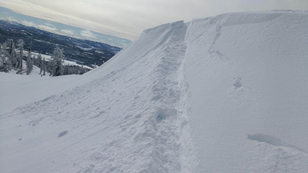  <a href="/avalanche-terms/ski-cut" title="A stability test where a skier, rider or snowmobiler rapidly crosses an avalanche starting zone to see if an avalanche initiates. Slope cuts can be dangerous and should only be performed by experienced people on small avalanche paths or test slopes." class="lexicon-term">Ski cut</a> on <a href="/avalanche-terms/wind-loading" title="The added weight of wind drifted snow." class="lexicon-term">wind loaded</a> test slope above treeline producing no signs of instability. 