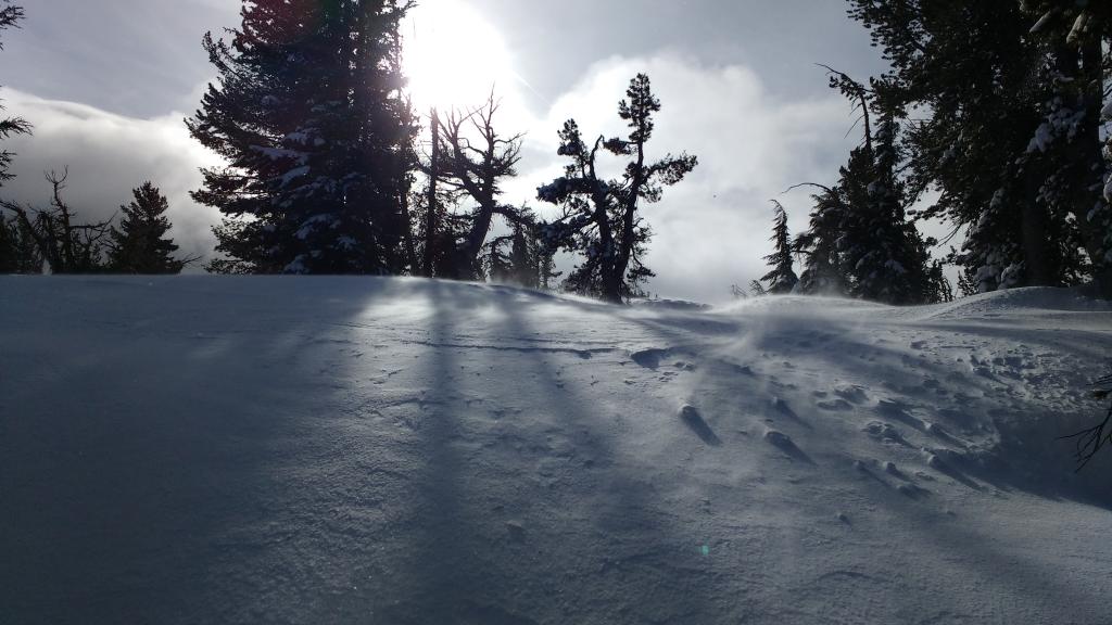  More blowing snow near treeline. 