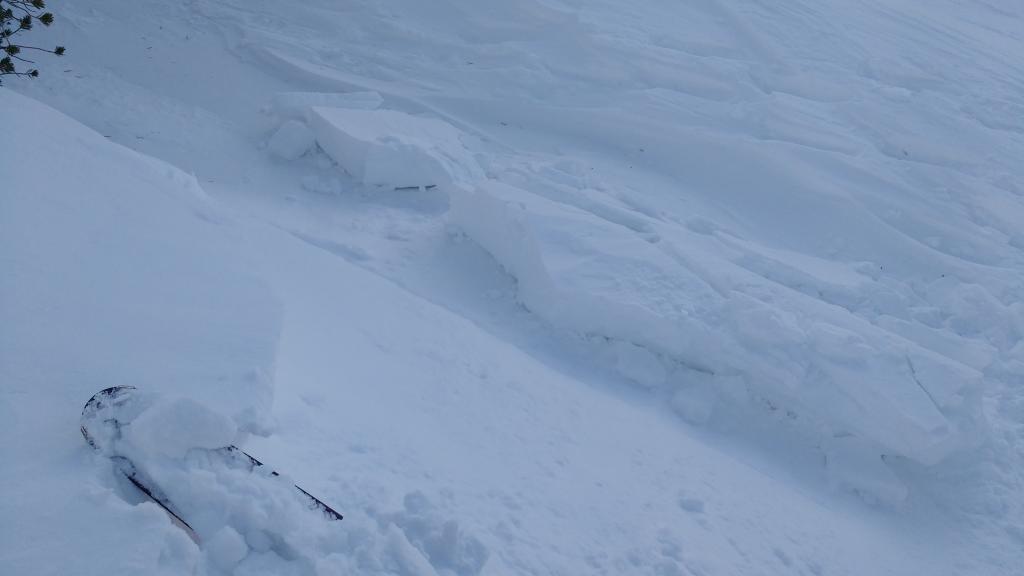  Test slope <a href="/avalanche-terms/wind-slab" title="A cohesive layer of snow formed when wind deposits snow onto leeward terrain. Wind slabs are often smooth and rounded and sometimes sound hollow." class="lexicon-term">wind slab</a> failure 10&#039; wide near noted lat/long. 
