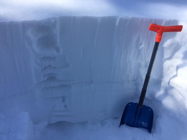  48cm on recent storm snow on top of a series of crusts with some lower <a href="/avalanche-terms/snow-density" title="The mass of snow per unit volume, but often expressed as a percent water content. New fallen powder has a low density (3-10%), while heavy or wet snow is more dense (10-20%)." class="lexicon-term">density</a> snow in between. 