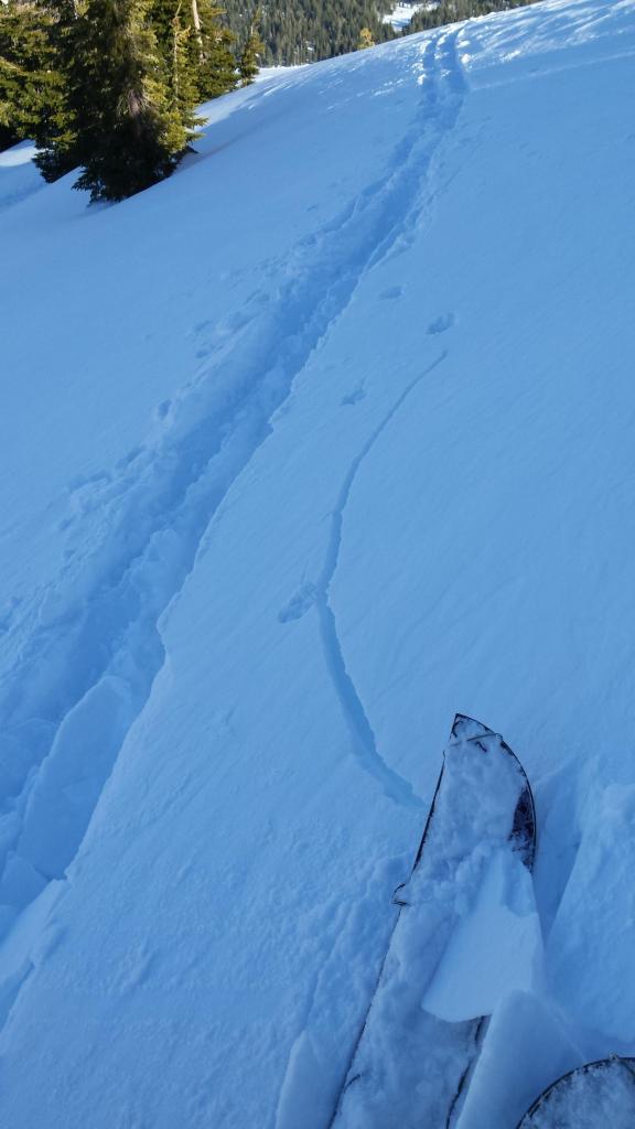  Cracking on undercut, N-facing test slope 