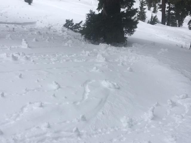  Small surface roller balls on northerly <a href="/avalanche-terms/aspect" title="The compass direction a slope faces (i.e. North, South, East, or West.)" class="lexicon-term">aspects</a>, below 9000&#039;, in below treeline terrain.  Some of these were from yesterday. 