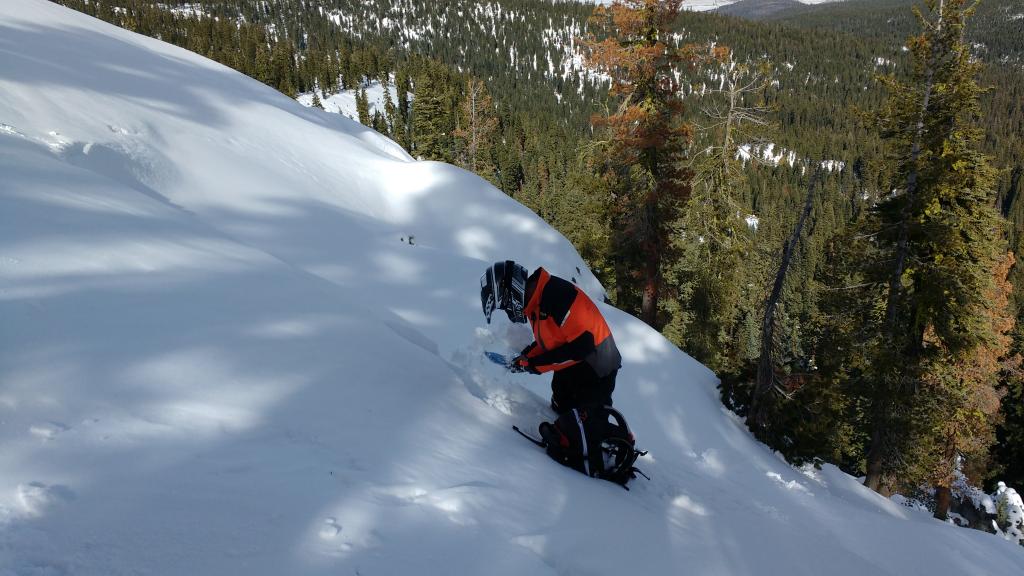  Digging into the <a href="/avalanche-terms/crown-face" title="The top fracture surface of a slab avalanche. Usually smooth, clean cut, and angled 90 degrees to the bed surface." class="lexicon-term">crown</a> to look at the <a href="/avalanche-terms/faceted-snow" title="Angular snow with poor bonding created from large temperature gradients within the snowpack." class="lexicon-term">faceted</a> failure <a href="/avalanche-terms/snow-layer" title="A snowpack stratum differentiated from others by weather, metamorphism, or other processes." class="lexicon-term">layer</a>. 