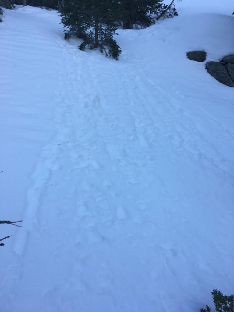  Previous wet loose avy activity on north facing slope. 