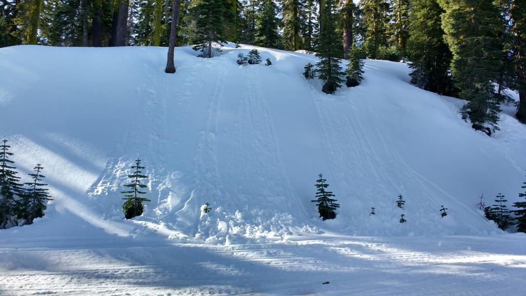  Recent roller balls created by snow falling from sun exposed trees onto colder shaded N <a href="/avalanche-terms/aspect" title="The compass direction a slope faces (i.e. North, South, East, or West.)" class="lexicon-term">aspect</a> terrain did not produce any degree of loose wet <a href="/avalanche-terms/avalanche" title="A mass of snow sliding, tumbling, or flowing down an inclined surface." class="lexicon-term">avalanche</a> activity. 