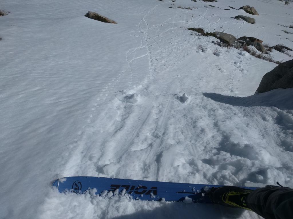  Small roller balls and pinwheels on a SE <a href="/avalanche-terms/aspect" title="The compass direction a slope faces (i.e. North, South, East, or West.)" class="lexicon-term">aspect</a> at 9100 ft. 