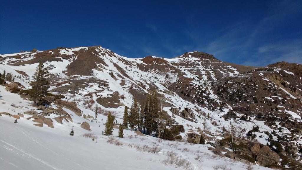  Thin but usable snowcover on SW flank of Red Lake Peak (SE-S-SW <a href="/avalanche-terms/aspect" title="The compass direction a slope faces (i.e. North, South, East, or West.)" class="lexicon-term">aspects</a>) 