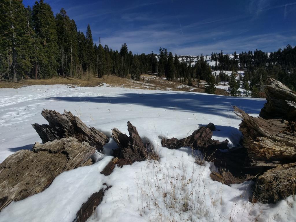  Patchy snow cover on SE-S-SW <a href="/avalanche-terms/aspect" title="The compass direction a slope faces (i.e. North, South, East, or West.)" class="lexicon-term">aspects</a> in the area. 