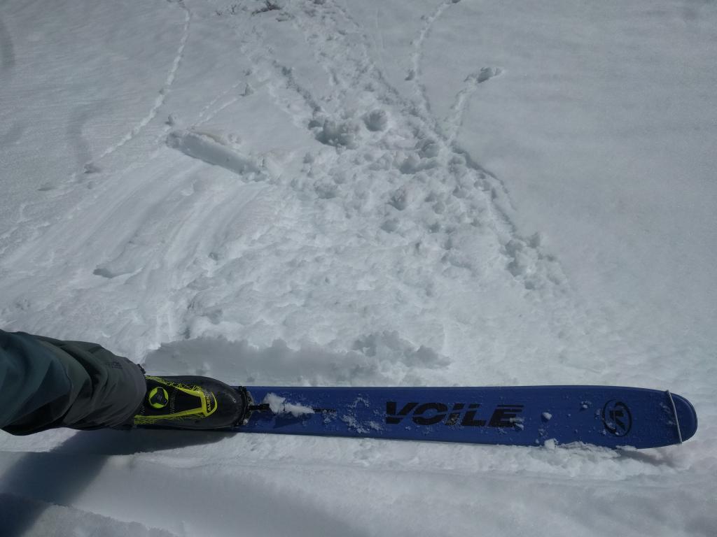  Small roller balls on test slope.  E <a href="/avalanche-terms/aspect" title="The compass direction a slope faces (i.e. North, South, East, or West.)" class="lexicon-term">aspect</a> at 11:45am. 