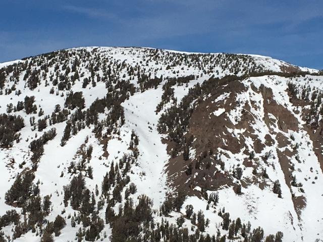  S/SE face of Mt. Houghton 