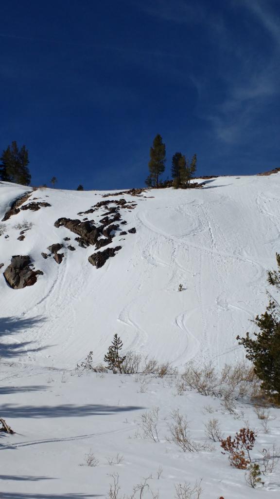  Ski cuts on a steep E <a href="/avalanche-terms/aspect" title="The compass direction a slope faces (i.e. North, South, East, or West.)" class="lexicon-term">aspect</a>, 9200&#039;, at 12pm produced only small roller balls.  Snow was punchy and transitional at location. 