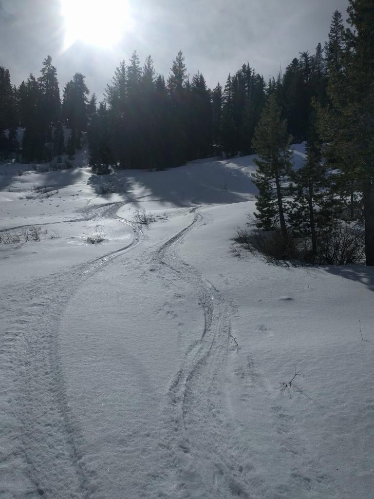  Ski tracks showing soft snow in the shade and icy crusts in the sun. 