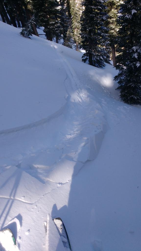  Wind effected surface snow. 