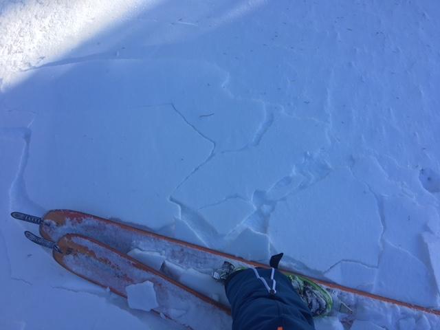  Minor, inconsequential <a href="/avalanche-terms/wind-slab" title="A cohesive layer of snow formed when wind deposits snow onto leeward terrain. Wind slabs are often smooth and rounded and sometimes sound hollow." class="lexicon-term">wind slab</a> noted in near treeline terrain. 