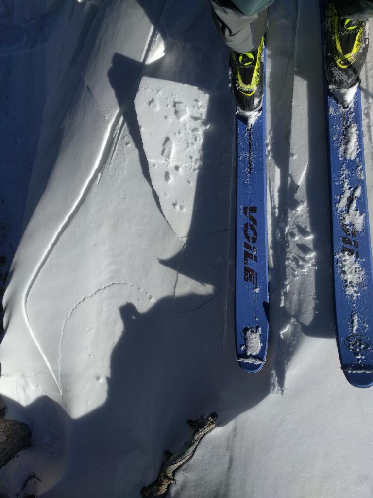  More tiny, superficial <a href="/avalanche-terms/wind-slab" title="A cohesive layer of snow formed when wind deposits snow onto leeward terrain. Wind slabs are often smooth and rounded and sometimes sound hollow." class="lexicon-term">wind slab</a> near treeline, too small to present a significant hazard. 