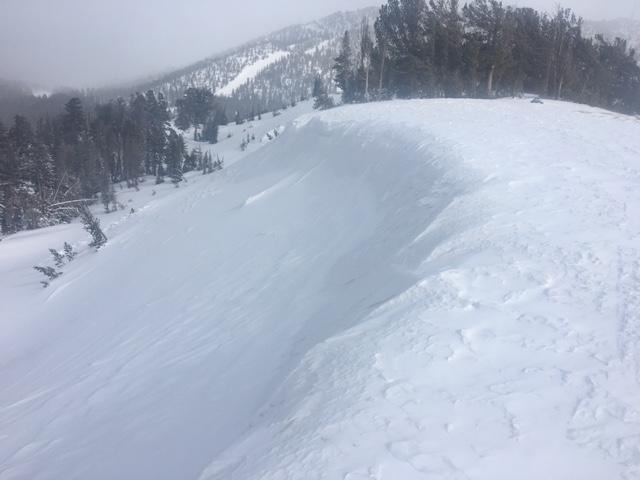  NW/N <a href="/avalanche-terms/aspect" title="The compass direction a slope faces (i.e. North, South, East, or West.)" class="lexicon-term">aspect</a> on Far East Ridge of Tamarack was scoured back to firm crusts with <a href="/avalanche-terms/cornice" title="A mass of snow deposited by the wind, often overhanging, and usually near a sharp terrain break such as a ridge. Cornices can break off unexpectedly and should be approached with caution." class="lexicon-term">cornice</a> removed by NW winds. 