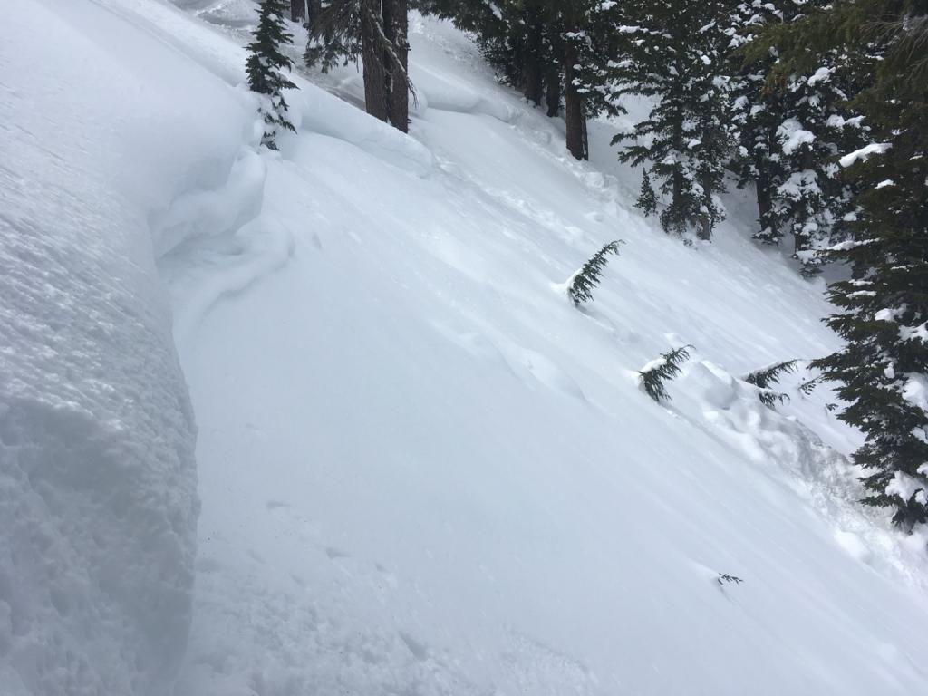  <a href="/avalanche-terms/crown-face" title="The top fracture surface of a slab avalanche. Usually smooth, clean cut, and angled 90 degrees to the bed surface." class="lexicon-term">Crown</a> and some debris. 