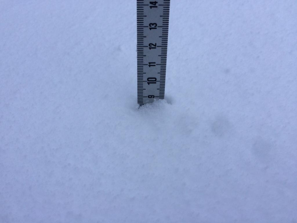  Echo Lake Snopark 8am - 3pm snow totals just under 9 cms. 