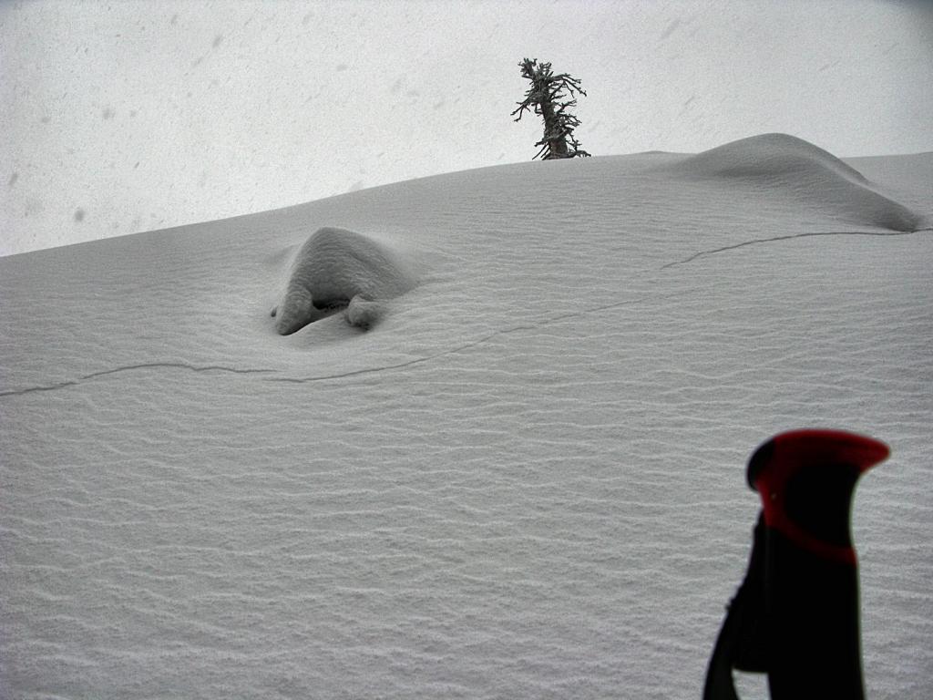  Upslope <a href="/avalanche-terms/propagation" title="The spreading of a fracture or crack within the snowpack." class="lexicon-term">propagation</a> 