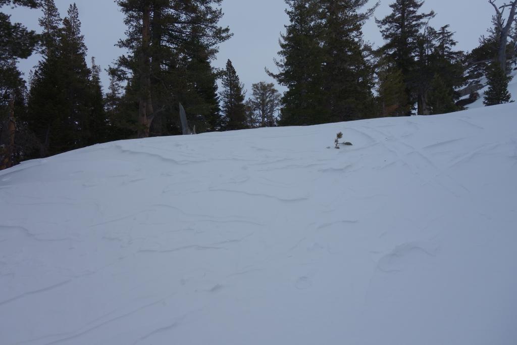  Raised ski tracks 