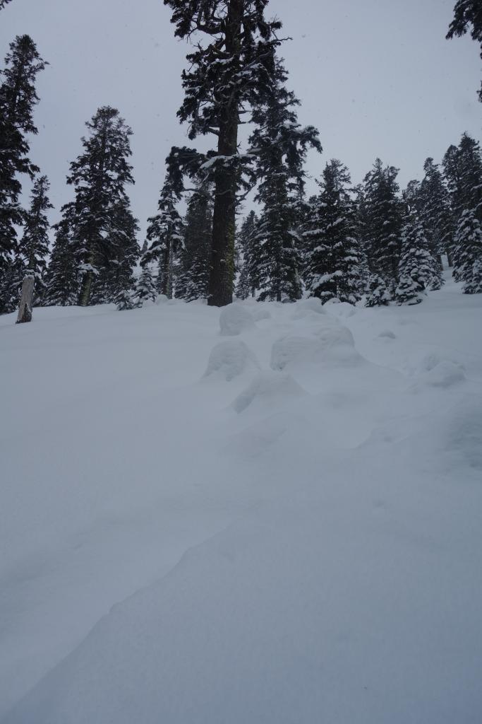  <a href="/avalanche-terms/skin-track" title="Backcountry skiers and some snowboarders ascend slopes using climbing skins attached to the bottom of their skis." class="lexicon-term">Skin track</a> debris 4 