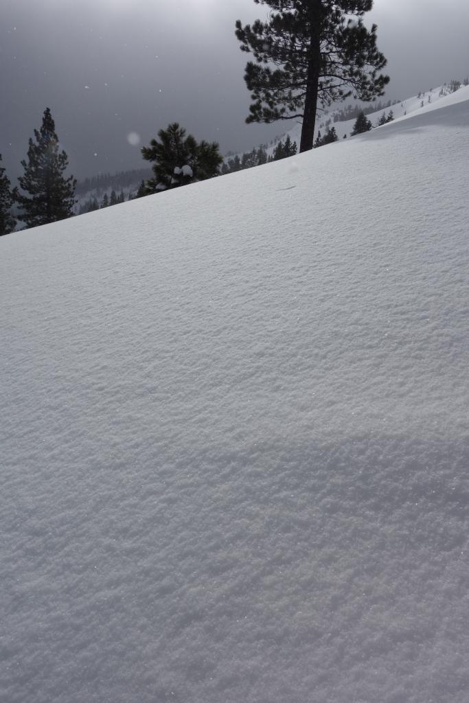  near surface <a href="/avalanche-terms/faceted-snow" title="Angular snow with poor bonding created from large temperature gradients within the snowpack." class="lexicon-term">facets</a> 8 