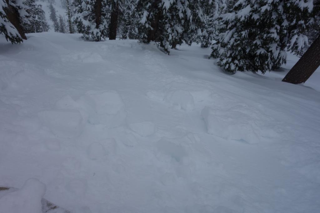  <a href="/avalanche-terms/ski-cut" title="A stability test where a skier, rider or snowmobiler rapidly crosses an avalanche starting zone to see if an avalanche initiates. Slope cuts can be dangerous and should only be performed by experienced people on small avalanche paths or test slopes." class="lexicon-term">Ski cut</a> 7 