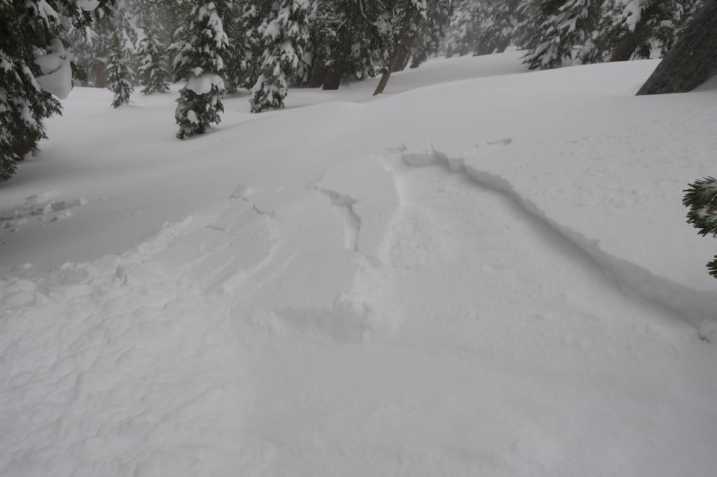  Flank area of storm <a href="/avalanche-terms/slab" title="A relatively cohesive snowpack layer." class="lexicon-term">slab</a>. 