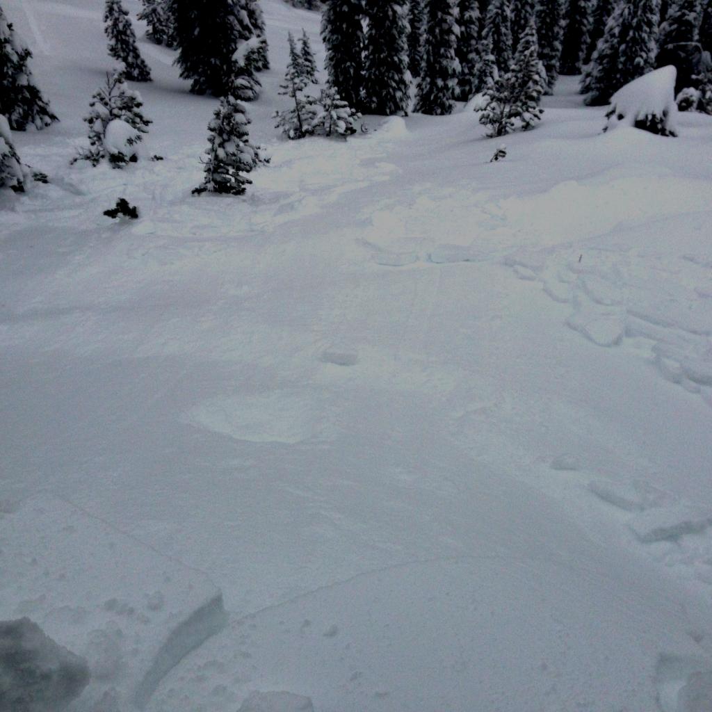 Skier initiated wind/storm <a href="/avalanche-terms/slab" title="A relatively cohesive snowpack layer." class="lexicon-term">slab</a> movement. 