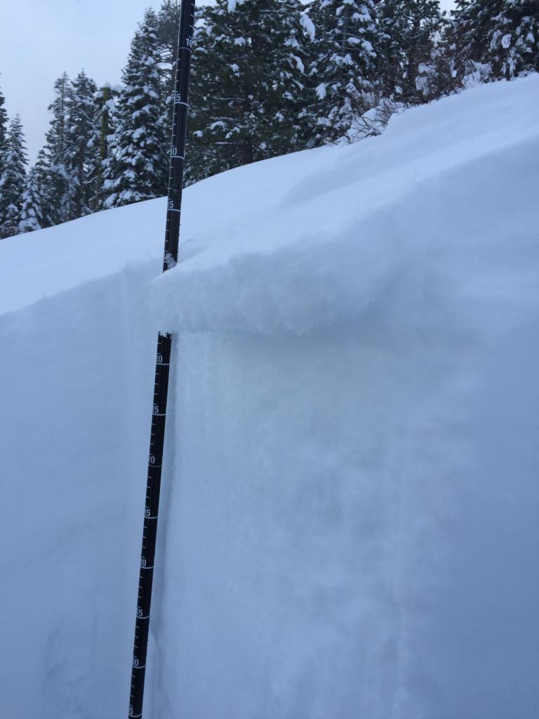  January 9th buried <a href="/avalanche-terms/surface-hoar" title="Featherly crystals that form on the snow surface during clear and calm conditions - essentially frozen dew. Forms a persistent weak layer once buried." class="lexicon-term">surface hoar</a> 