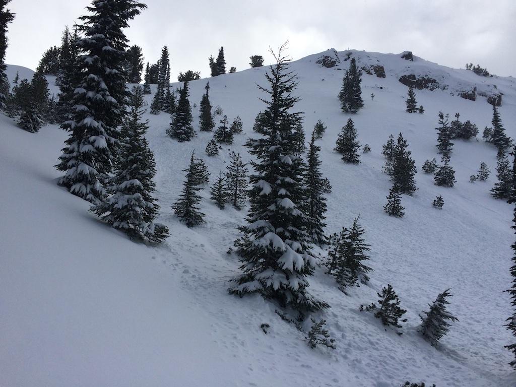  Natural <a href="/avalanche-terms/wind-slab" title="A cohesive layer of snow formed when wind deposits snow onto leeward terrain. Wind slabs are often smooth and rounded and sometimes sound hollow." class="lexicon-term">wind slab</a>. 