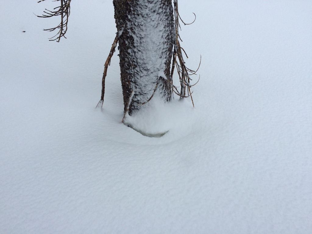  <a href="/avalanche-terms/settlement" title="The slow, deformation and densification of snow under the influence of gravity. Not to be confused with collasping" class="lexicon-term">Settlement</a> cone around tree. 