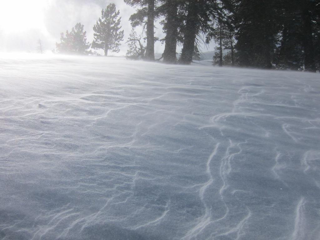  <a href="/avalanche-terms/sastrugi" title="Wind eroded snow, which often looks rough like frozen waves. Usually found on windward slopes." class="lexicon-term">Sastrugi</a> growing in the wind. 