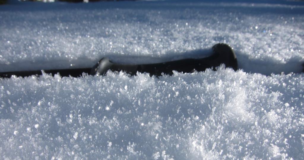  <a href="/avalanche-terms/surface-hoar" title="Featherly crystals that form on the snow surface during clear and calm conditions - essentially frozen dew. Forms a persistent weak layer once buried." class="lexicon-term">Surface hoar</a> on Echo Peak 