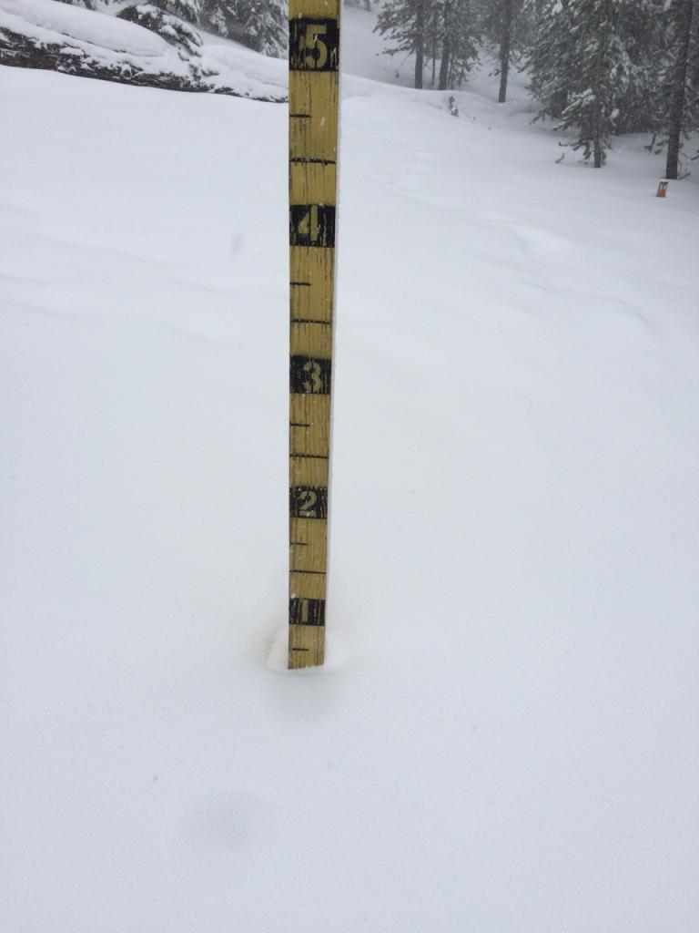  Snow stake on Luther Pass showing less than a foot of snow. 