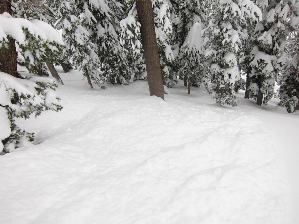  Looking downslope at a skier <a href="/avalanche-terms/trigger" title="A disturbance that initiates fracture within the weak layer causing an avalanche. In 90 percent of avalanche accidents, the victim or someone in the victims party triggers the avalanche." class="lexicon-term">triggered</a> small <a href="/avalanche-terms/slab" title="A relatively cohesive snowpack layer." class="lexicon-term">slab</a> <a href="/avalanche-terms/avalanche" title="A mass of snow sliding, tumbling, or flowing down an inclined surface." class="lexicon-term">avalanche</a>. 