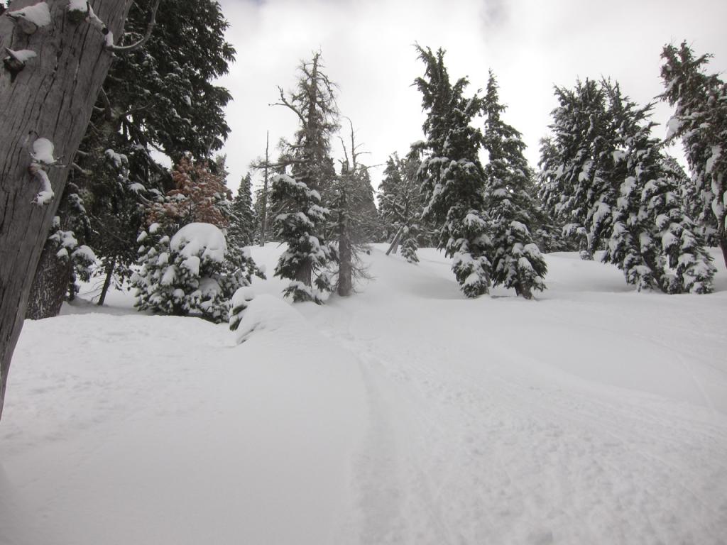  Looking up at skier <a href="/avalanche-terms/trigger" title="A disturbance that initiates fracture within the weak layer causing an avalanche. In 90 percent of avalanche accidents, the victim or someone in the victims party triggers the avalanche." class="lexicon-term">triggered</a> small <a href="/avalanche-terms/slab" title="A relatively cohesive snowpack layer." class="lexicon-term">slab</a> <a href="/avalanche-terms/avalanche" title="A mass of snow sliding, tumbling, or flowing down an inclined surface." class="lexicon-term">avalanche</a>. 